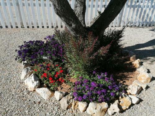 Apartamento Il Patio Alghero