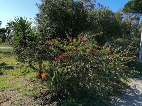 Apartamento Il Patio Alghero