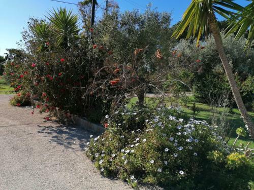Apartamento Il Patio Alghero