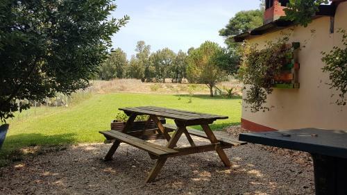 Hostal Affittacamere Pintadera