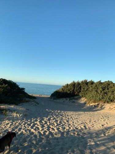 Apartamento Tutti Al Mare