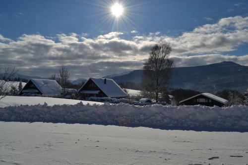 Private Luxury Chalet