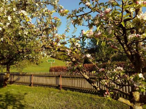 Agroturismo St�cklhof