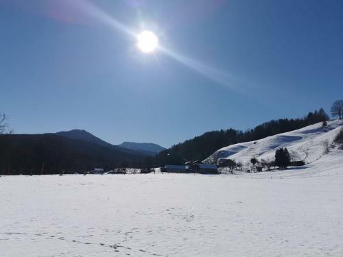 Hostal Pension Ober
