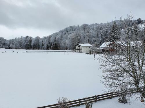 Apartamento Ferienwohnung Am Alpenrand