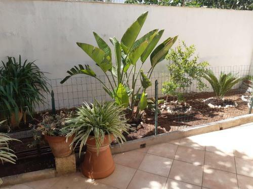 Casa Vacanza Rita