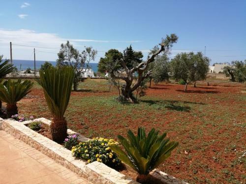 Apartamento Appartamento Lucia