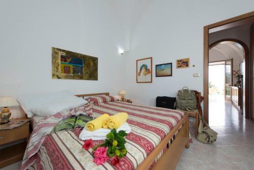Apartamento Villa Carolina