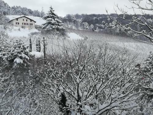 Apartamento Cottage Lavanda E Rosmarino