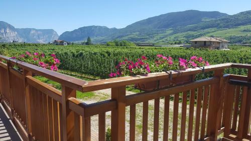 Agroturismo Agritur Clementi