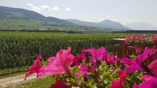 Agroturismo Agritur Clementi