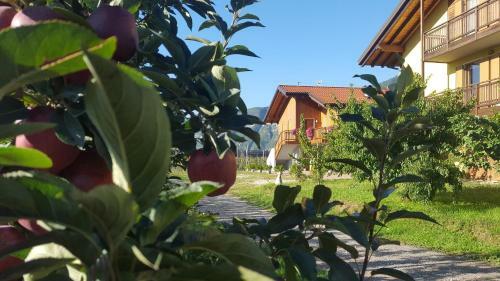 Agroturismo Agritur Clementi
