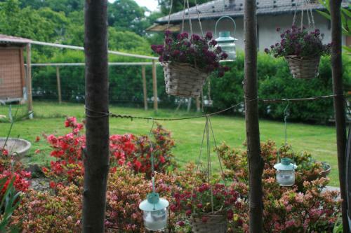 Bed & Breakfast Guest House Al Devesio
