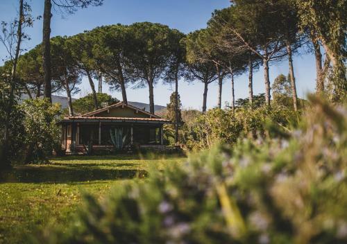 Chalet Silvana