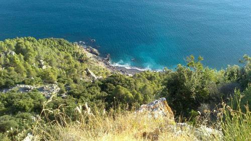 Hostal B&B Il Limone