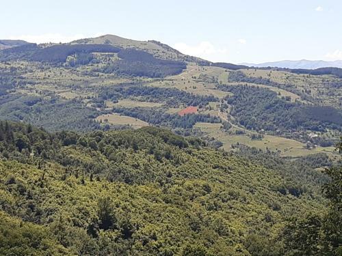 Apartamento Paradiso Incontaminato