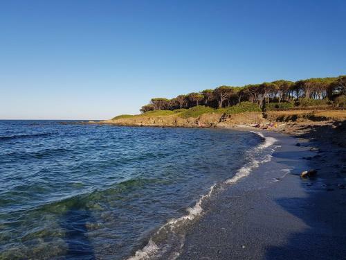 Apartamento Fronte Mare Premium