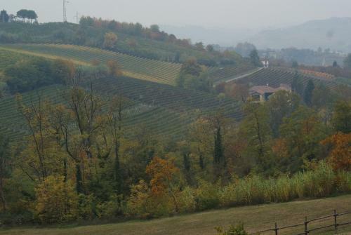 A Holiday To Remember In Stunning Piedmont
