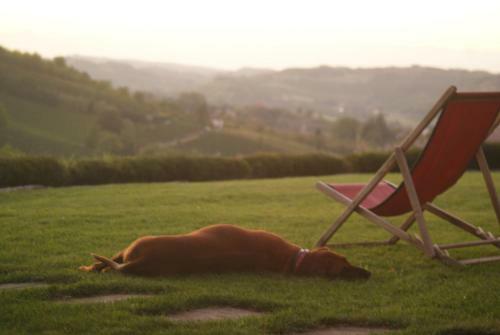 A Holiday To Remember In Stunning Piedmont