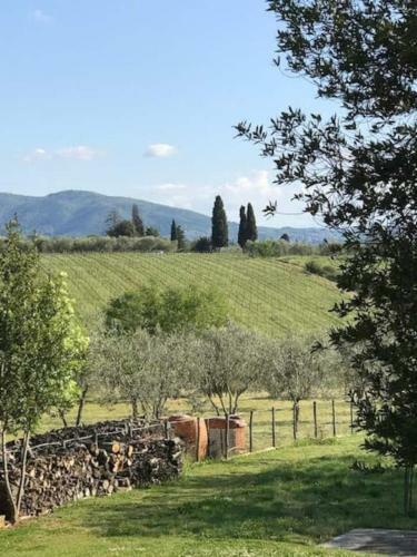 Le Serre Del Cerreto