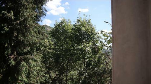 Apartamento Green Point Pennavaire