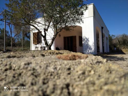 Villa Il Roseto Di Andrea