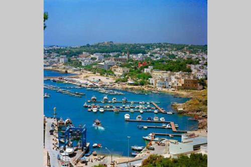 Apartamento Appartamento Vacanze San Gregorio Meridiana 3