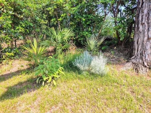 Apartamento Venus Appartement Grado