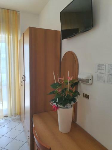 Hotel Venezia San Mauro Mare