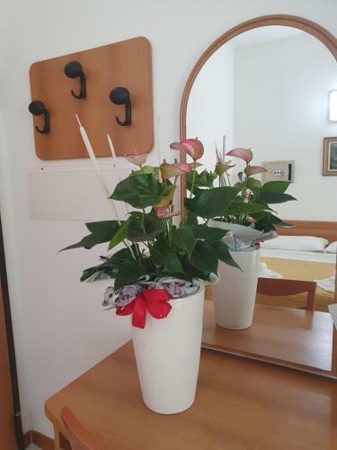 Hotel Venezia San Mauro Mare