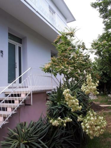 Bed & Breakfast R&b Manga Rosas