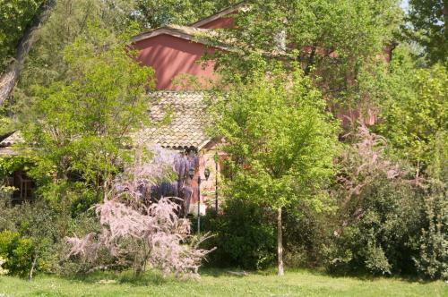 Bed & Breakfast Ca' Barbona