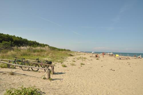 Bed & Breakfast Ca' Barbona