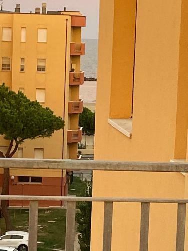 Viola - Lido Adriano