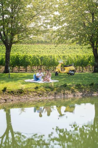 Bed & Breakfast Al Pompiere - Wine And Rooms