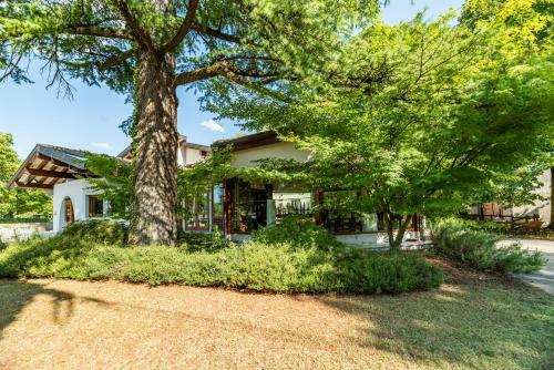 Posada Accademia Vine Lodge