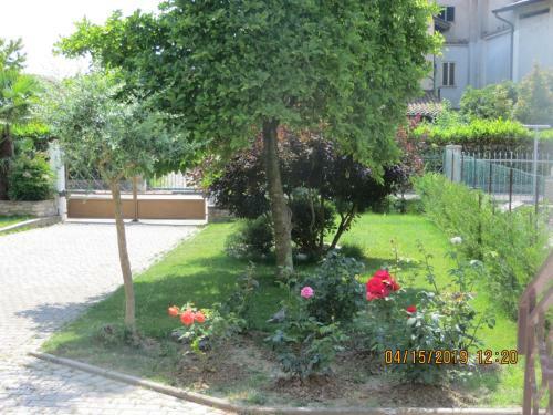 Bed & Breakfast 5 Palme