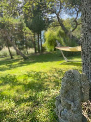 Bed & Breakfast Otarkia Lodge