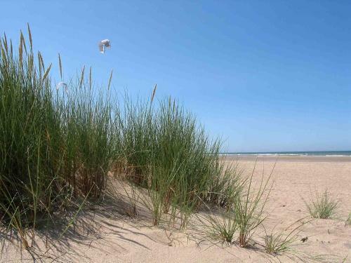 Hotel H�tel Club De La Plage