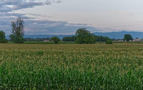 Bed & Breakfast La Selce Farmhouse