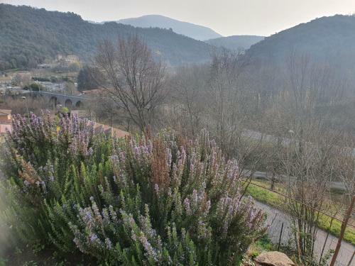 Bed & Breakfast La Storya