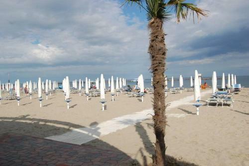 Apartamento Cedri B