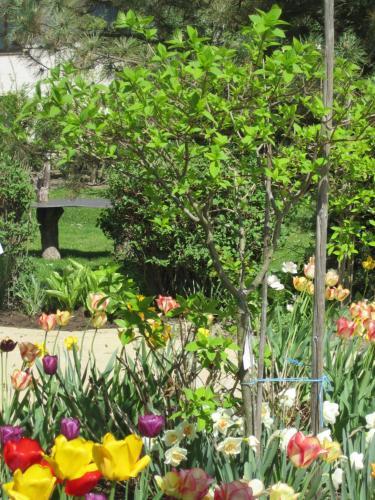 Hostal Gasthof Feichter