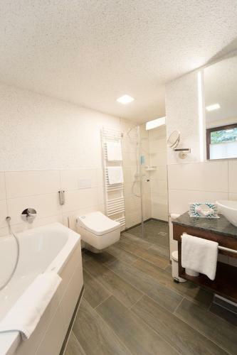 Hostal Hotel Goldener Hirsch