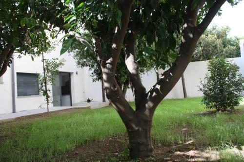 Hostal Residencia Mayol - Adults Only