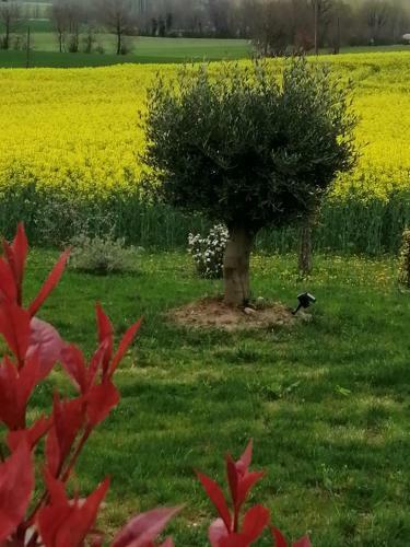 Bed & Breakfast Les Cypres De Crose III
