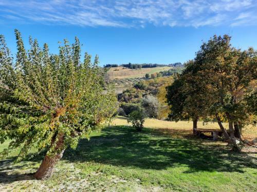 Bed & Breakfast In Vino Veritas