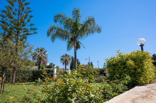 House Gallina Beach