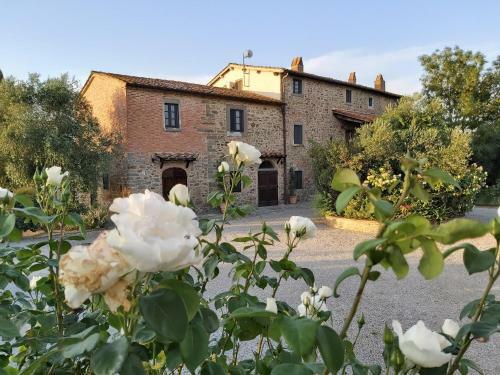 Apartamento Villa La Mucchia - Orchidea
