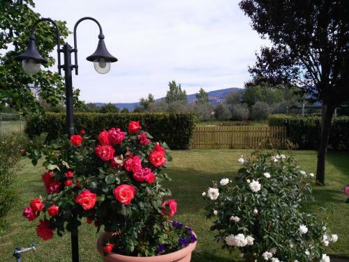 Apartamento Villa La Mucchia - Orchidea